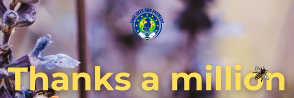 BeesEci Profile Banner