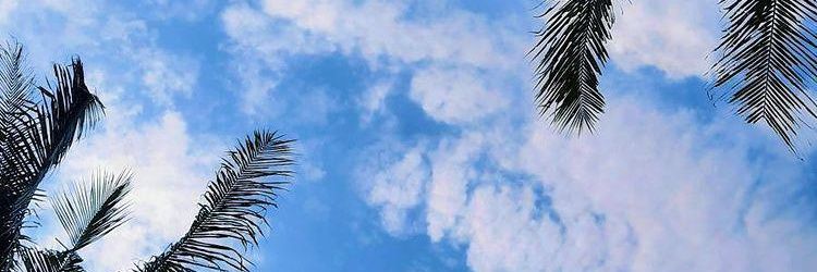 WWrisma's profile banner image