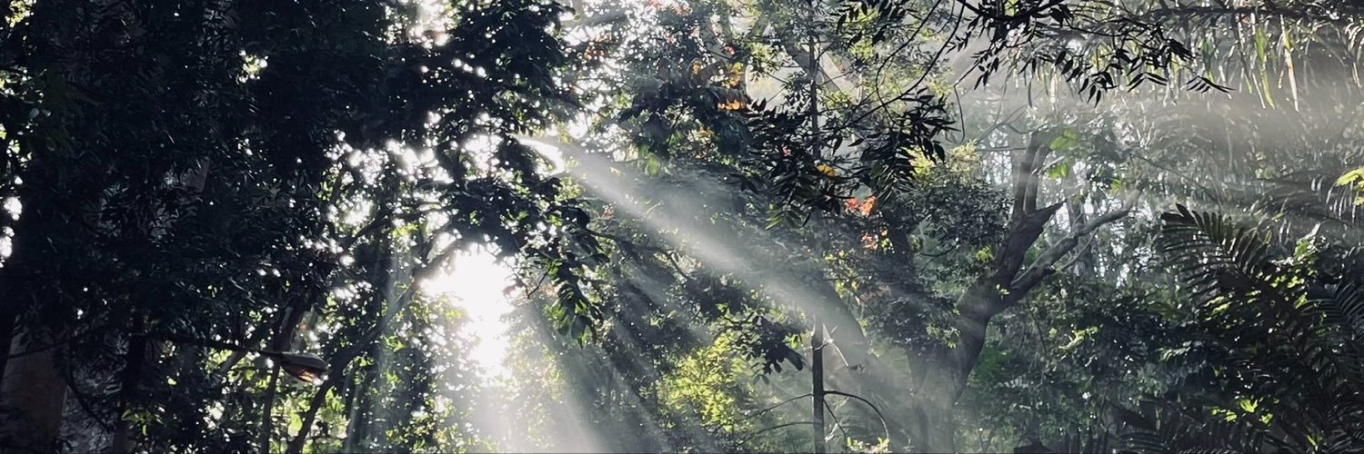 Chickdiaray's profile banner image