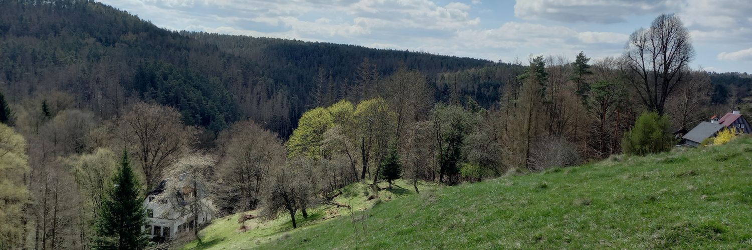 Malavika Madhavan banner