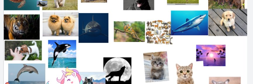 CasaEspLE4's profile banner image