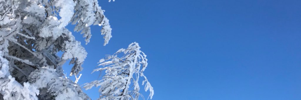 Dokkyo_ski's profile banner image