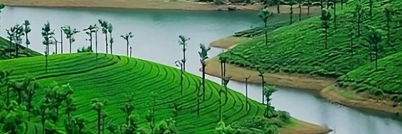 BeChellam's profile banner image