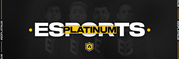PlatinumCR_ Profile Banner