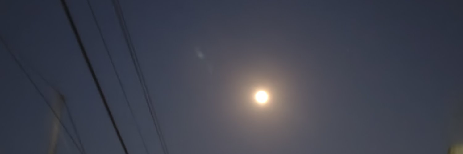 Rarabluee's profile banner image