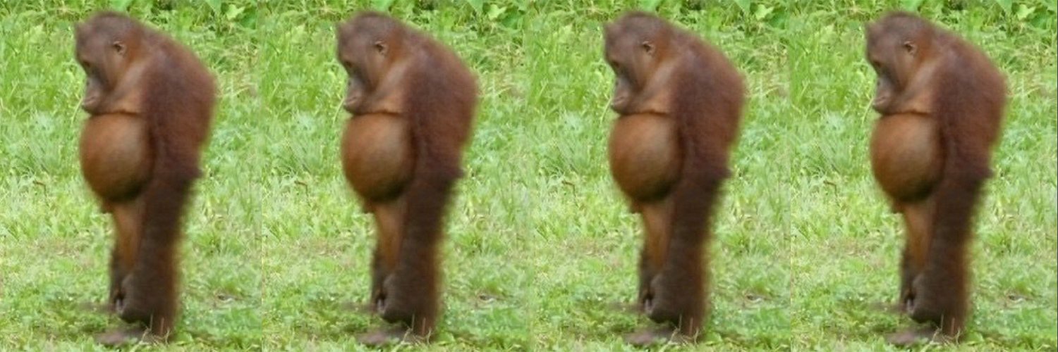 goblin insanity banner