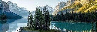 Roibos's profile banner image