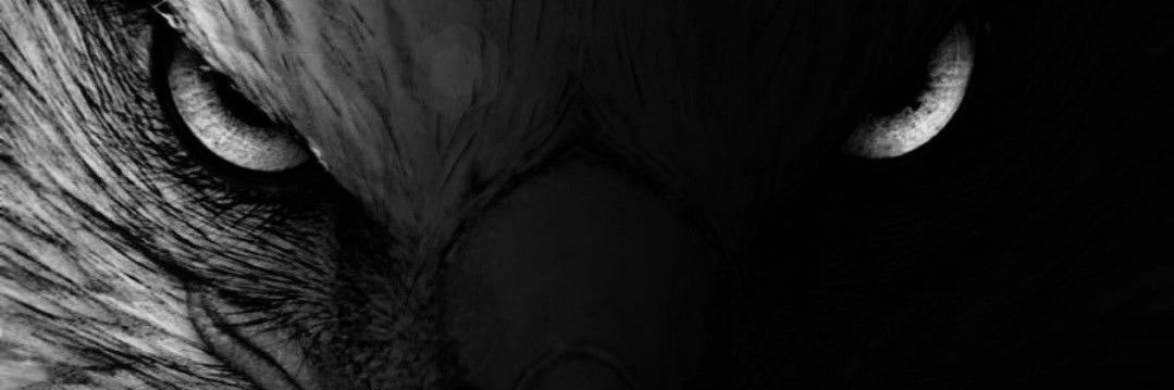 i_sar97's profile banner image