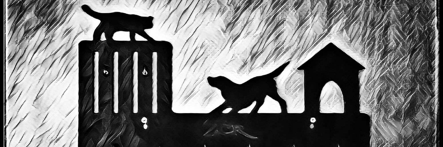 iDreamatic's profile banner image