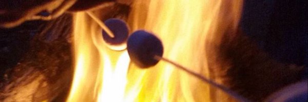 laurapilkie Profile Banner