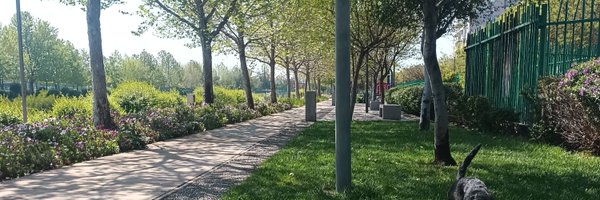 MarcoMira20 Profile Banner