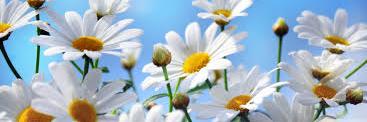 Charlotte_BMA's profile banner image
