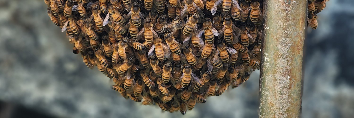 beesandbrews's profile banner image