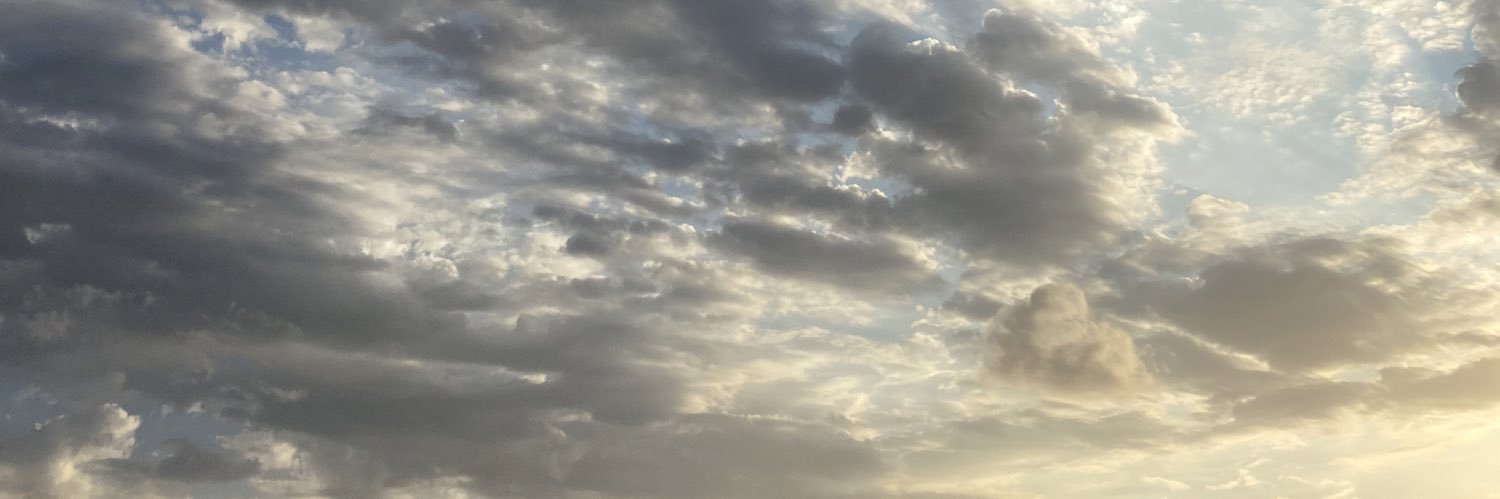 Artemis2_'s profile banner image