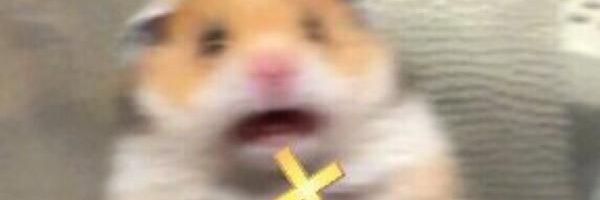 Jodarix1's profile banner image