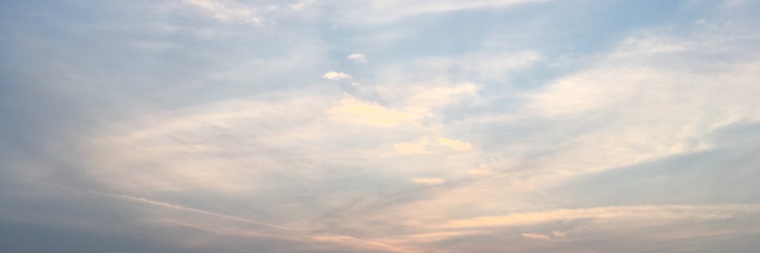 rhizomer's profile banner image