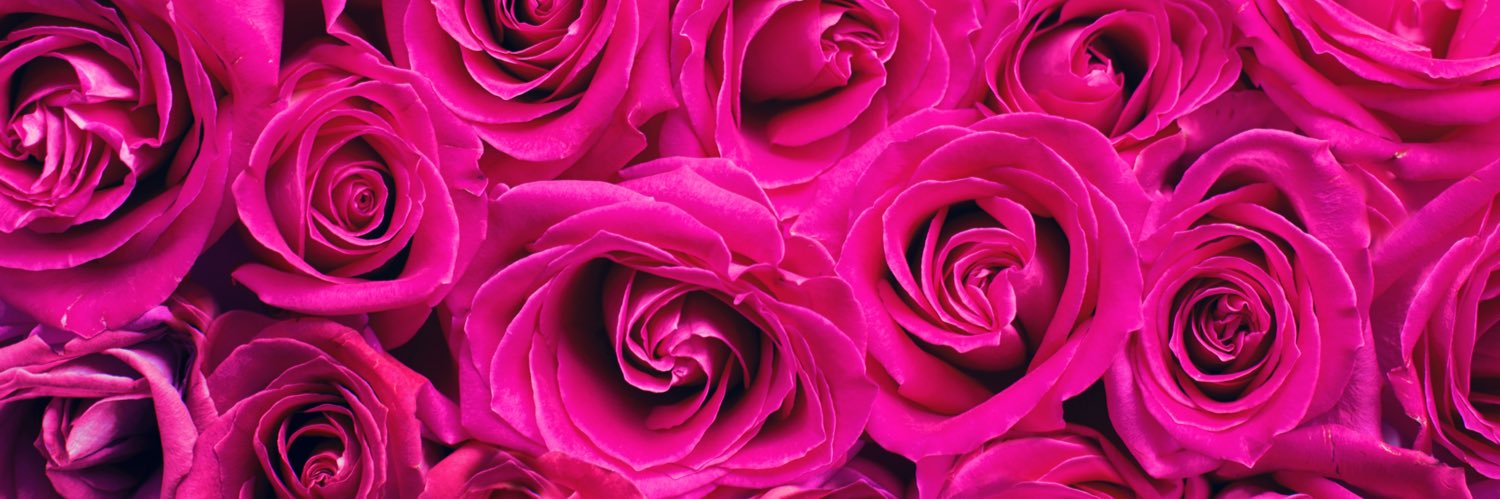 アダルトよろず屋 banner