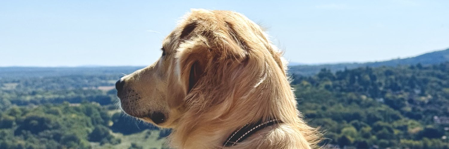 OhItsShaun's profile banner image