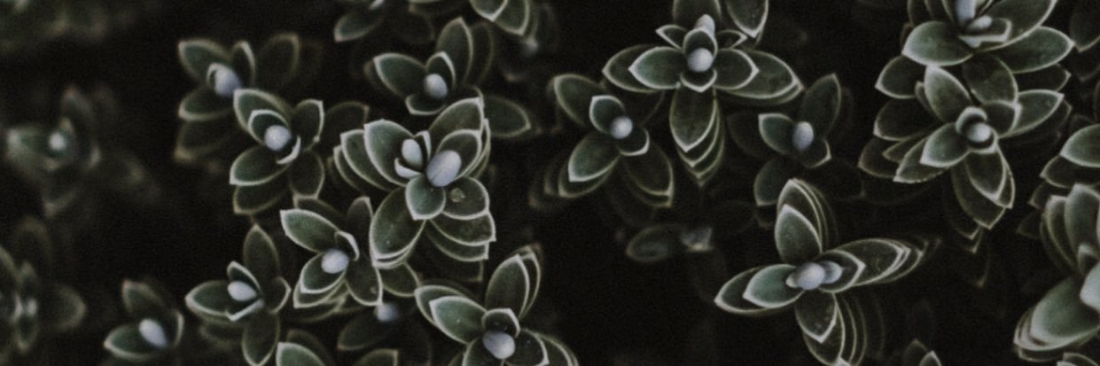 TamaraDevaniHtg's profile banner image