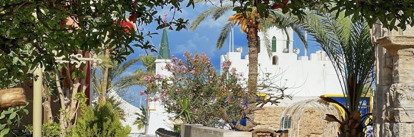 1Libyan's profile banner image