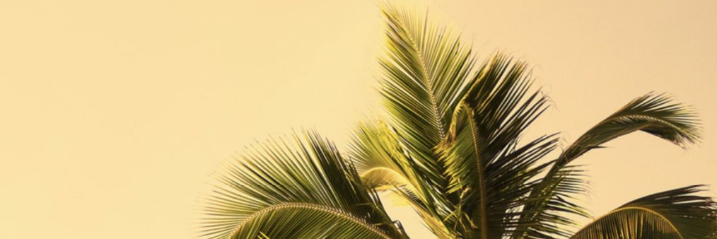 thenameslexy's profile banner image