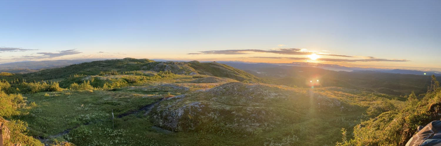Hedwig Thiery Aresvik banner