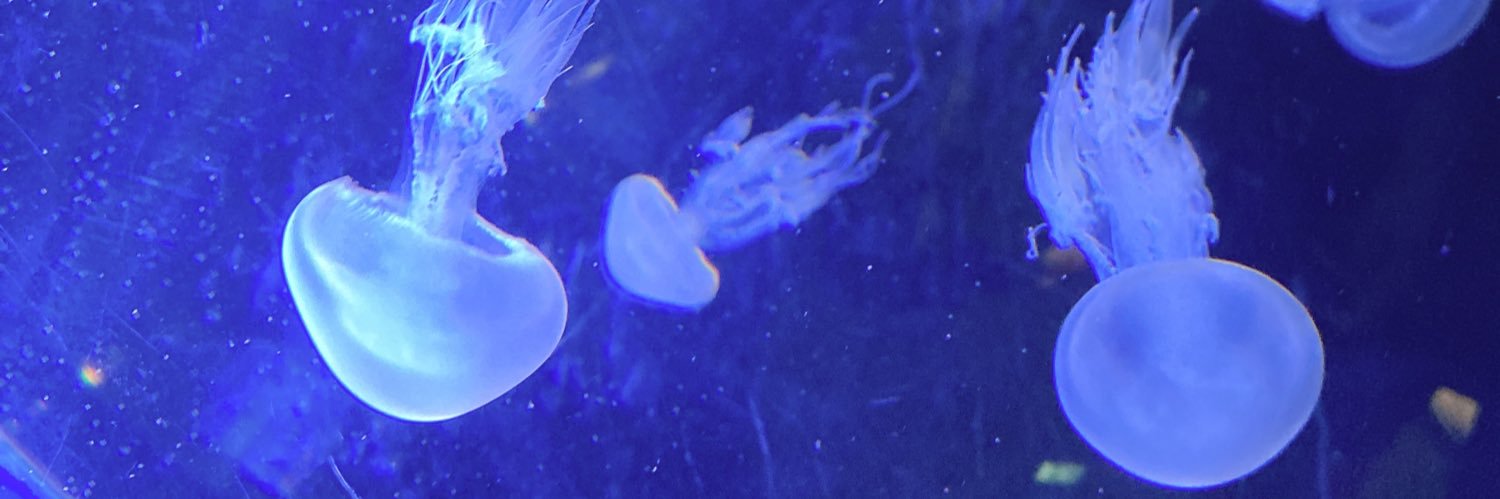 もとむと banner