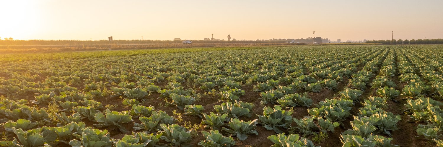 Twitter banner for @Farmland