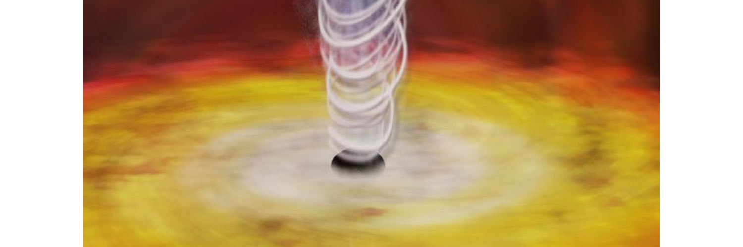 John D Morton banner