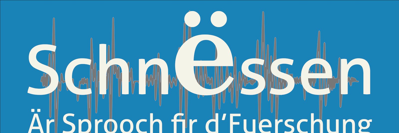 Schnessen's profile banner image