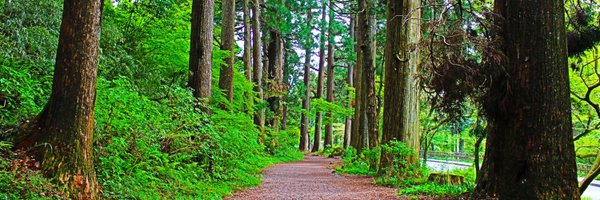 jasno Profile Banner