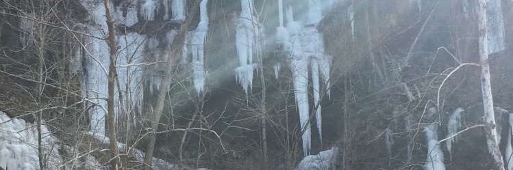 BPonmyD's profile banner image