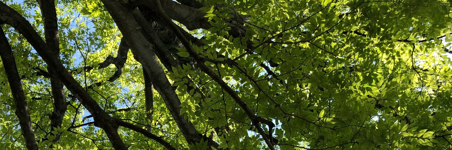 hawks__fan's profile banner image