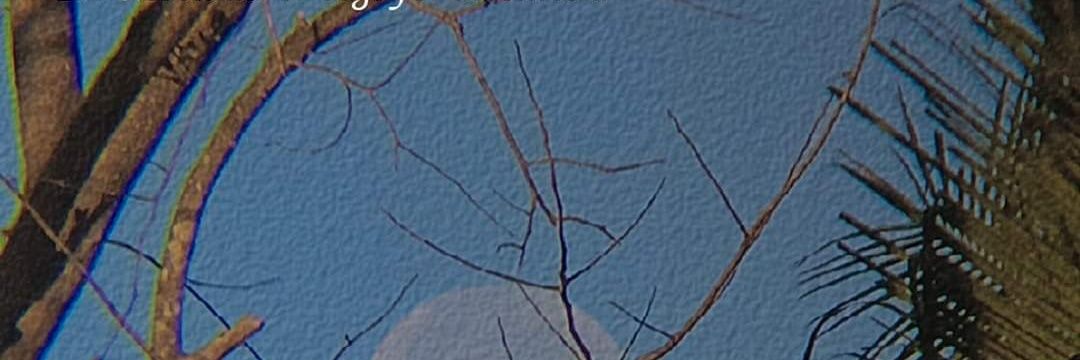 SiyabInsight's profile banner image