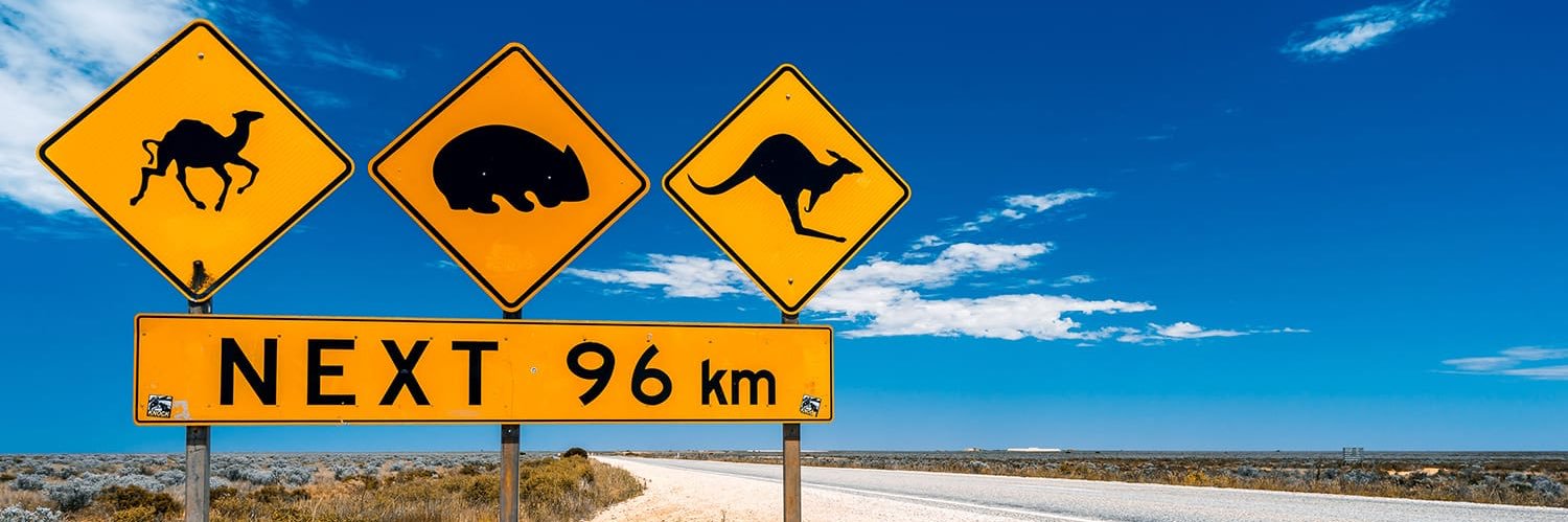 WrongtownGary's profile banner image