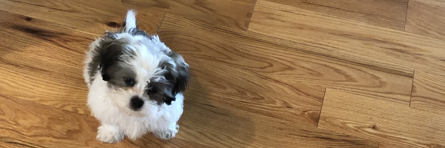 Mariahhh10's profile banner image