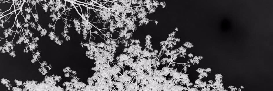 miss_LCB's profile banner image