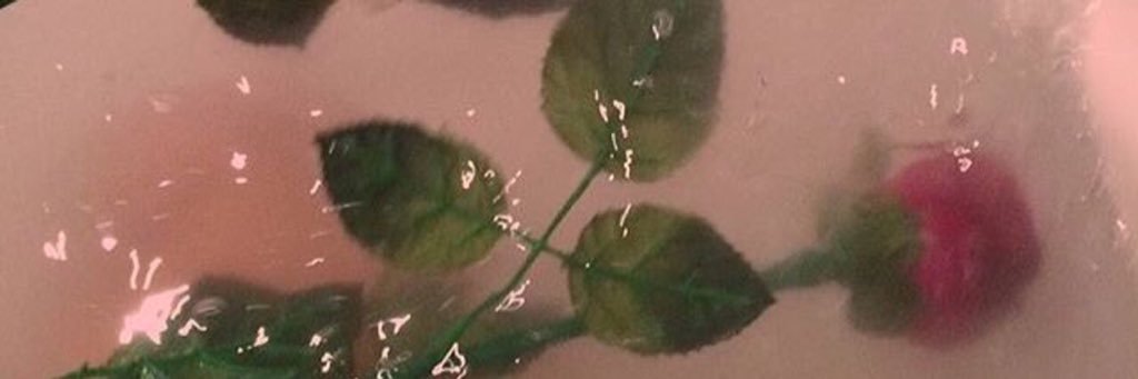 kotoperek's profile banner image