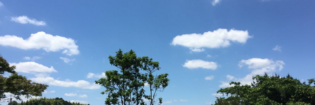 asuka banner