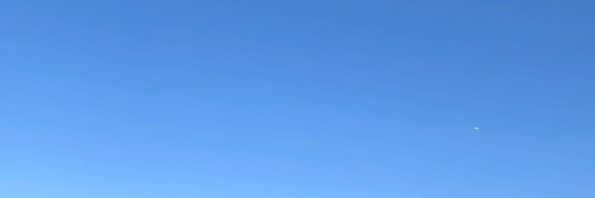 んぼっち banner