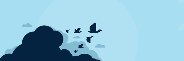 dliciousbrains Profile Banner
