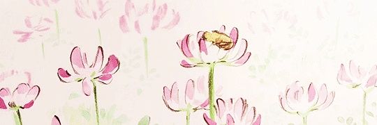 Kana !¡ banner