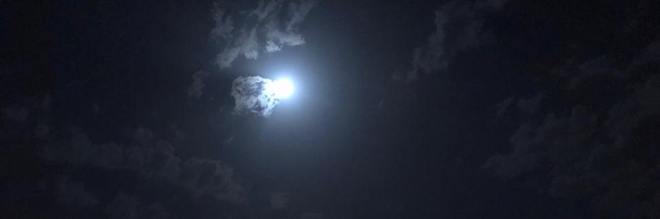 Lior banner