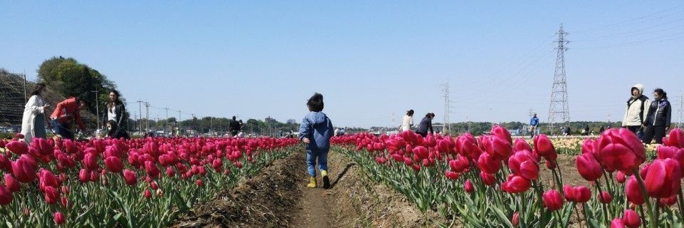 umii56's profile banner image