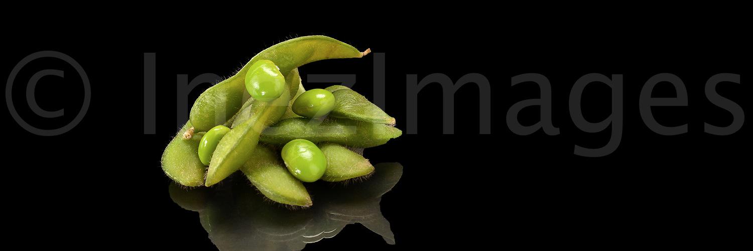 InezImages's profile banner image