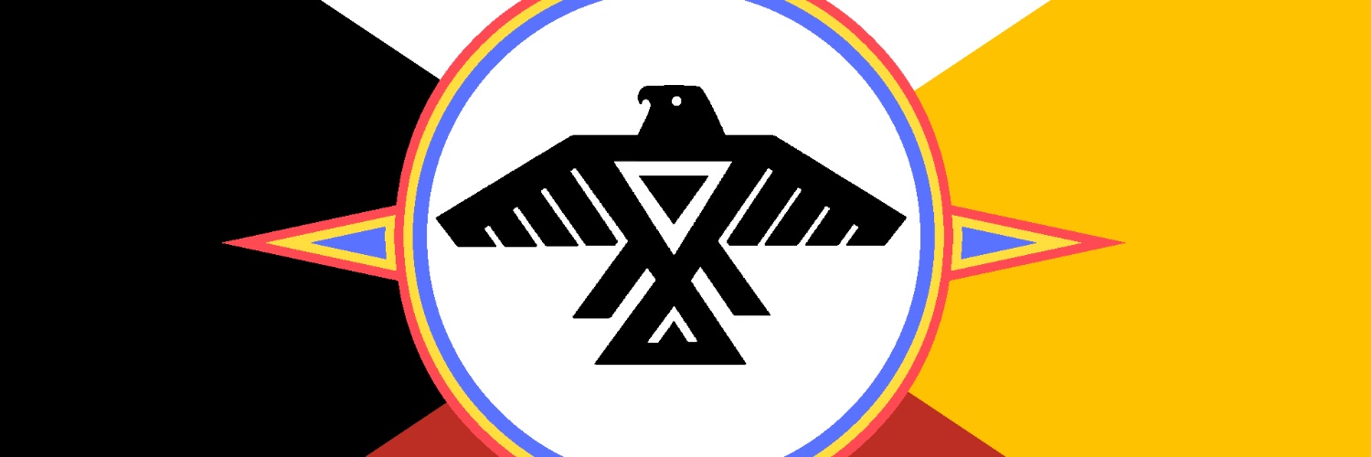 Dbikgiizis Migizikwe(MoonEagleWoman) banner