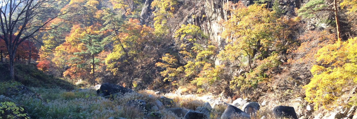 tera_yoi's profile banner image