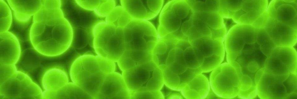 disasterblaster banner