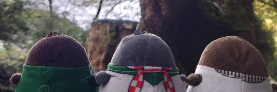 mitudhk99's profile banner image
