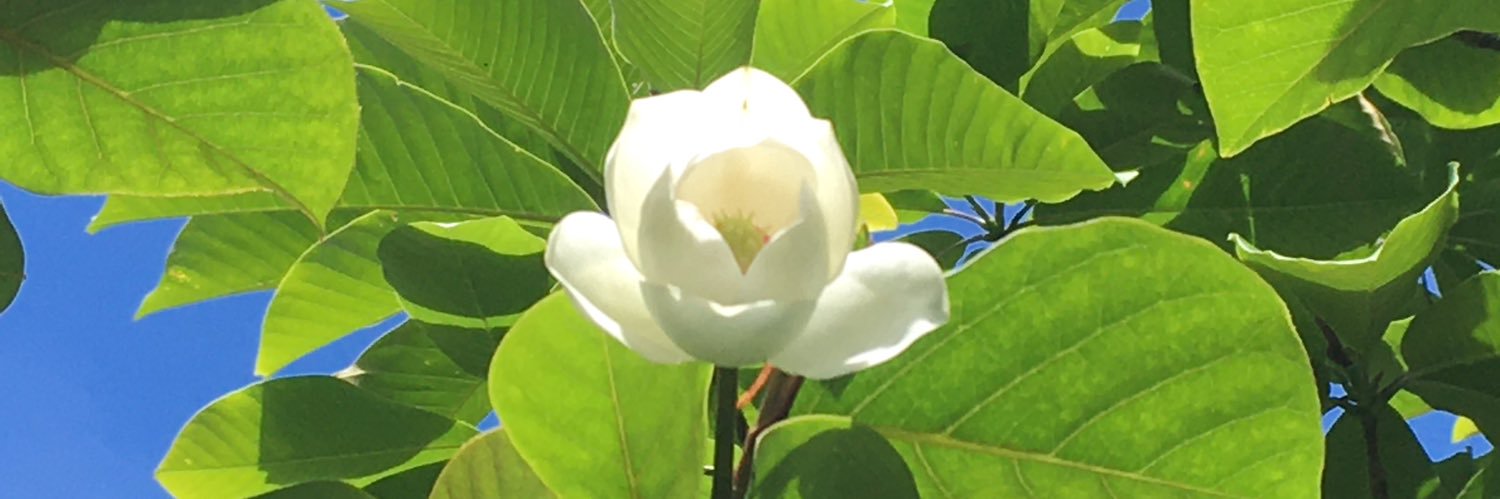 WakoYoga's profile banner image